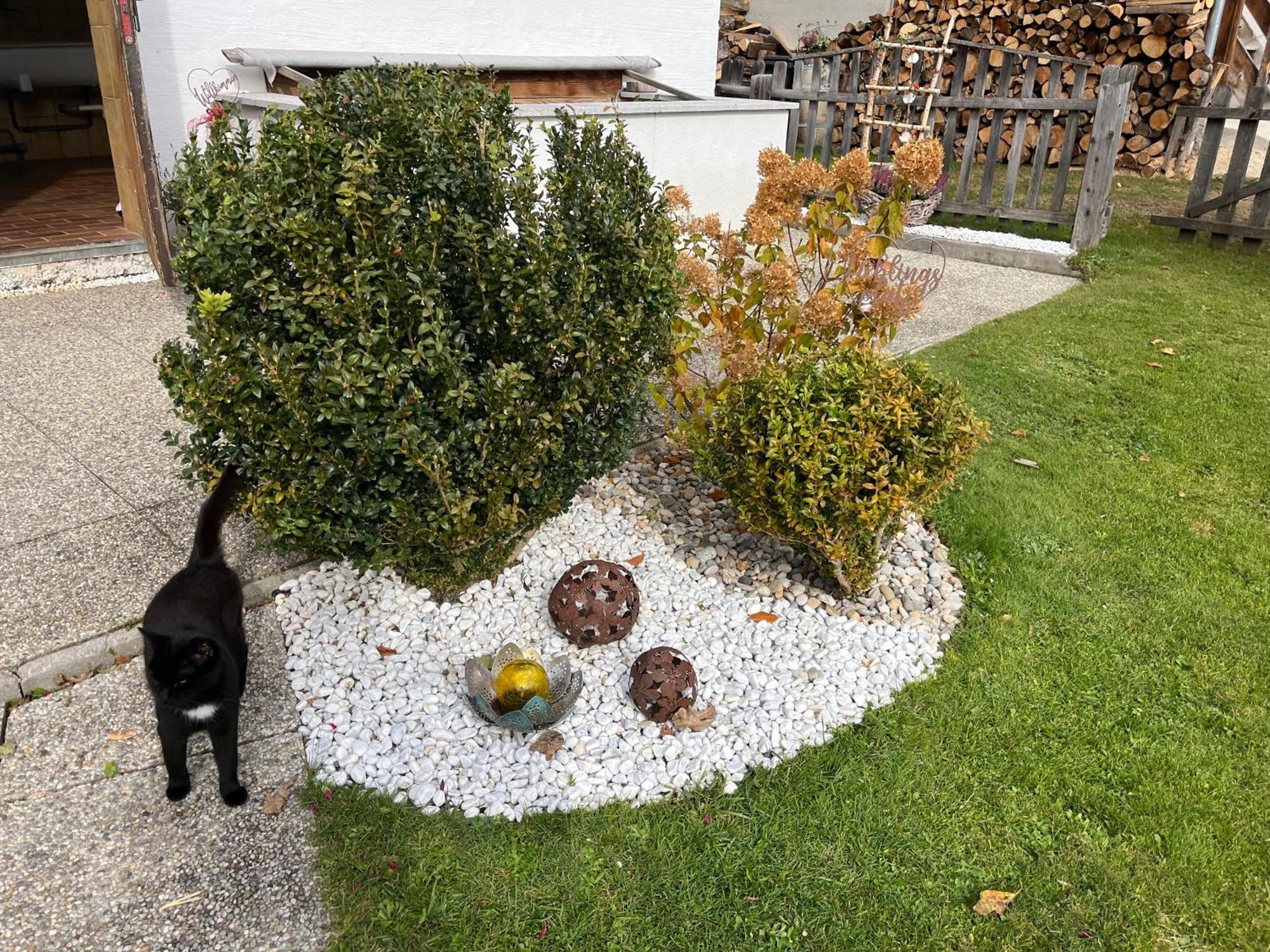 Apartment Schlickenhof Hintergöriach Eksteriør billede