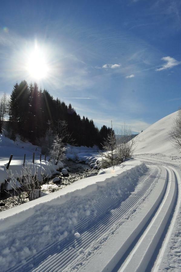 Apartment Schlickenhof Hintergöriach Eksteriør billede